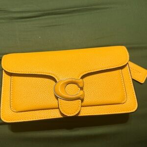 Coach Tabby Chain Clutch